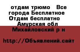отдам трюмо - Все города Бесплатное » Отдам бесплатно   . Амурская обл.,Михайловский р-н